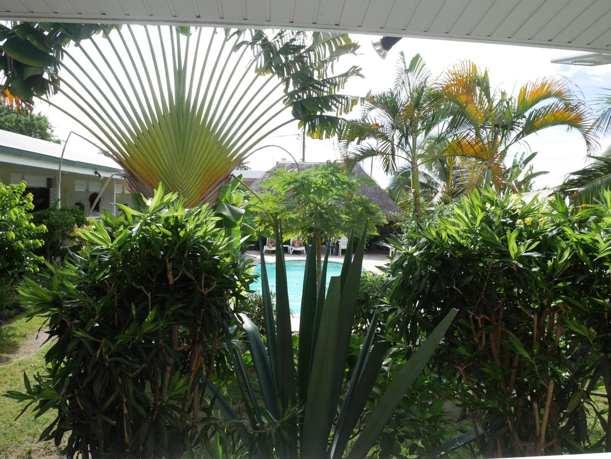 Pension De La Plage Punaauia  Bilik gambar
